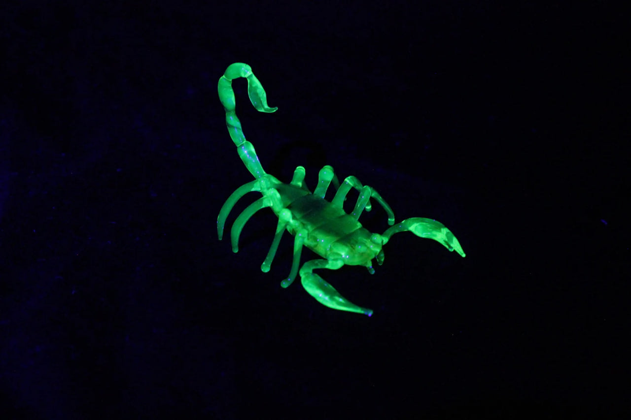 Uranium Glass Scorpion – UV Reactive Handmade Collectible