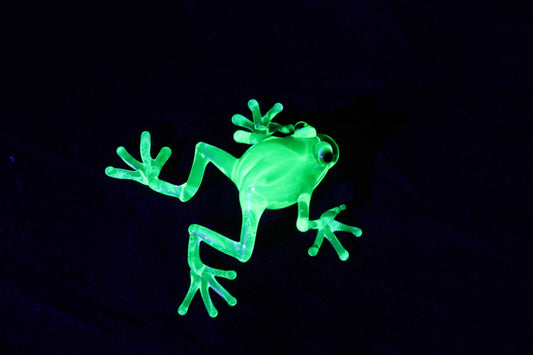 Handcrafted Luminous Frog – Uranium Glass Collectible