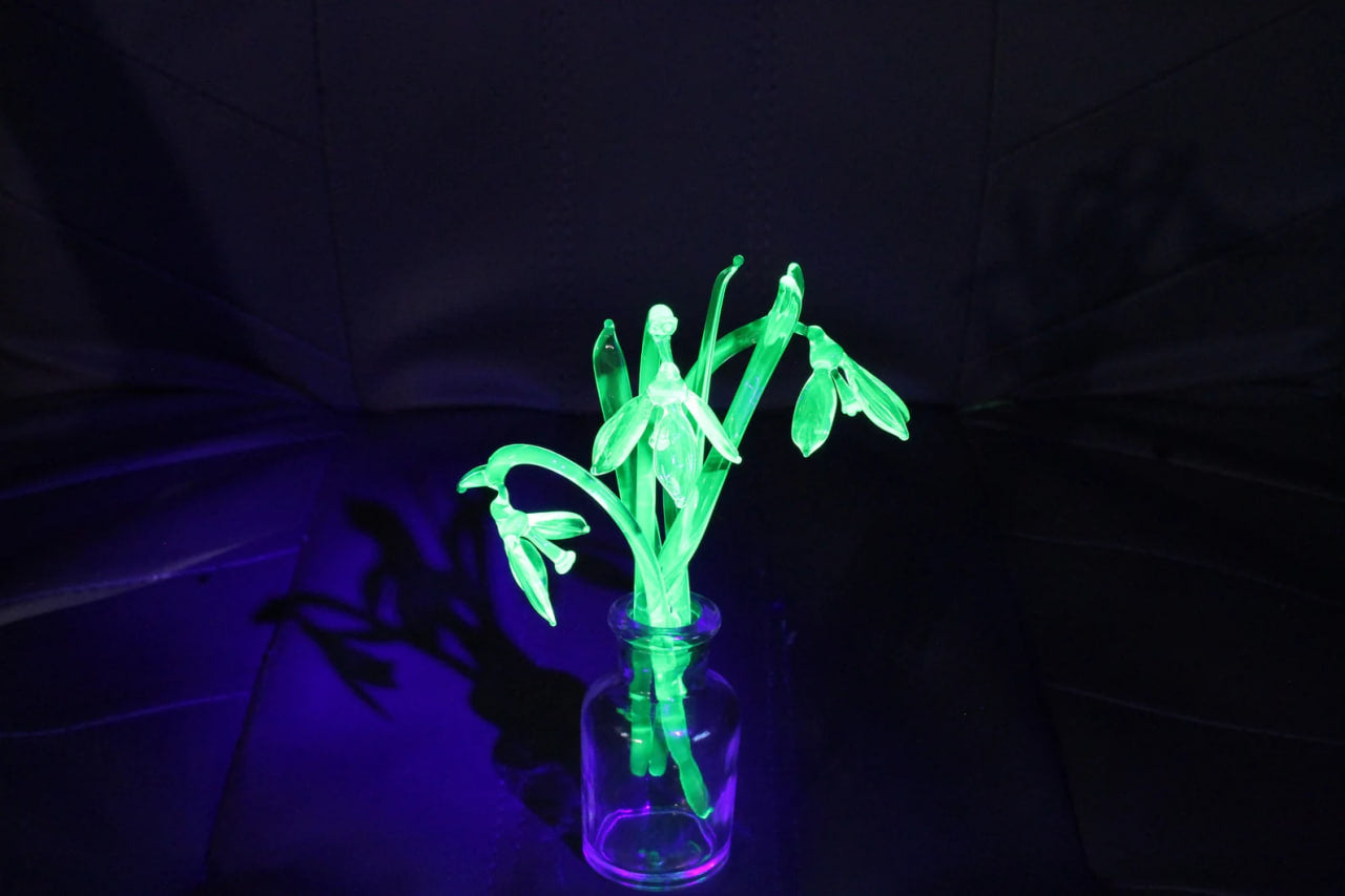 Uranium Glass Snowdrops Sculpture – Glowing Lampwork Flowers – Handmade Glass Bouquet