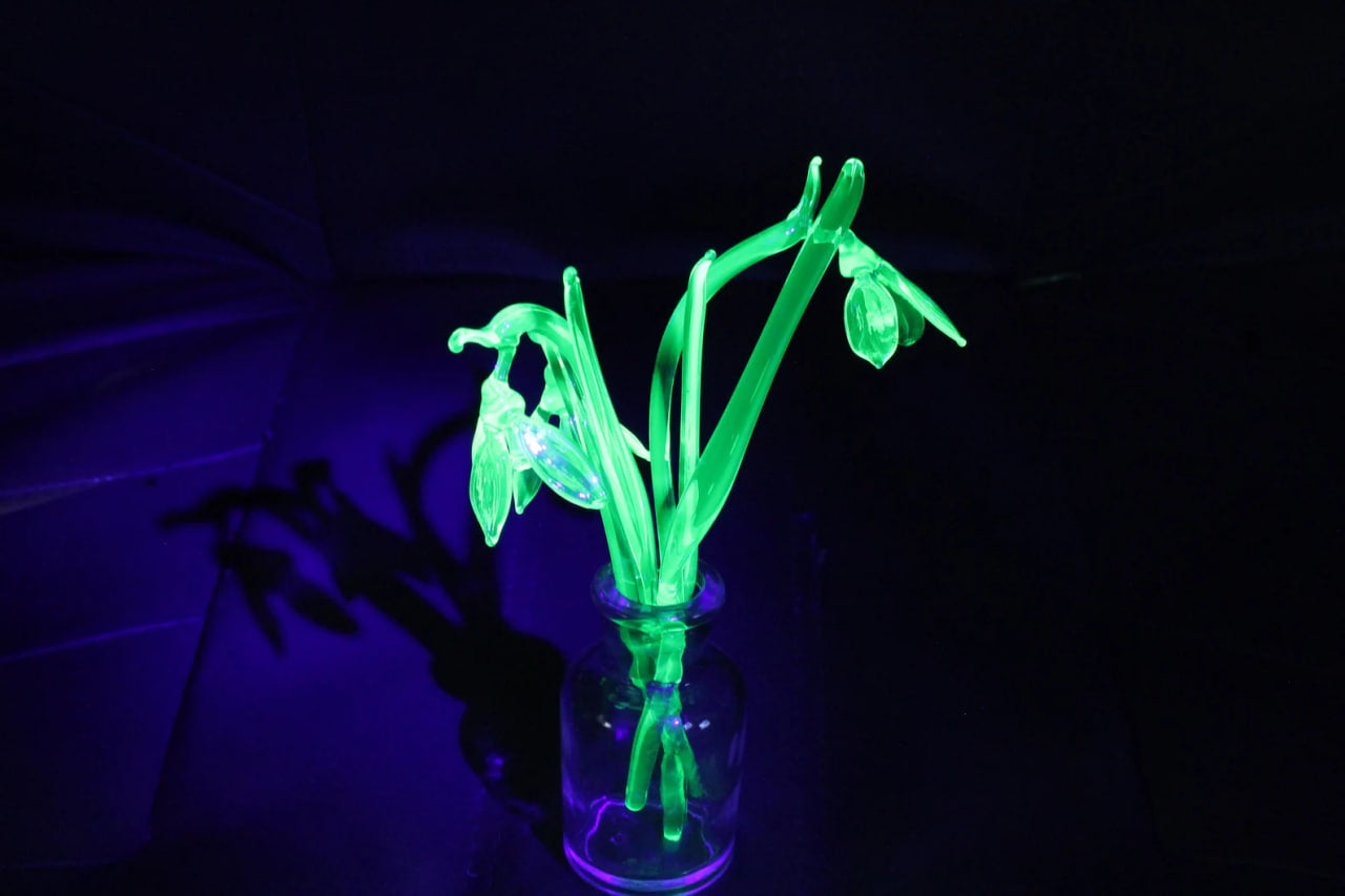 Uranium Glass Snowdrops Sculpture – Glowing Lampwork Flowers – Handmade Glass Bouquet