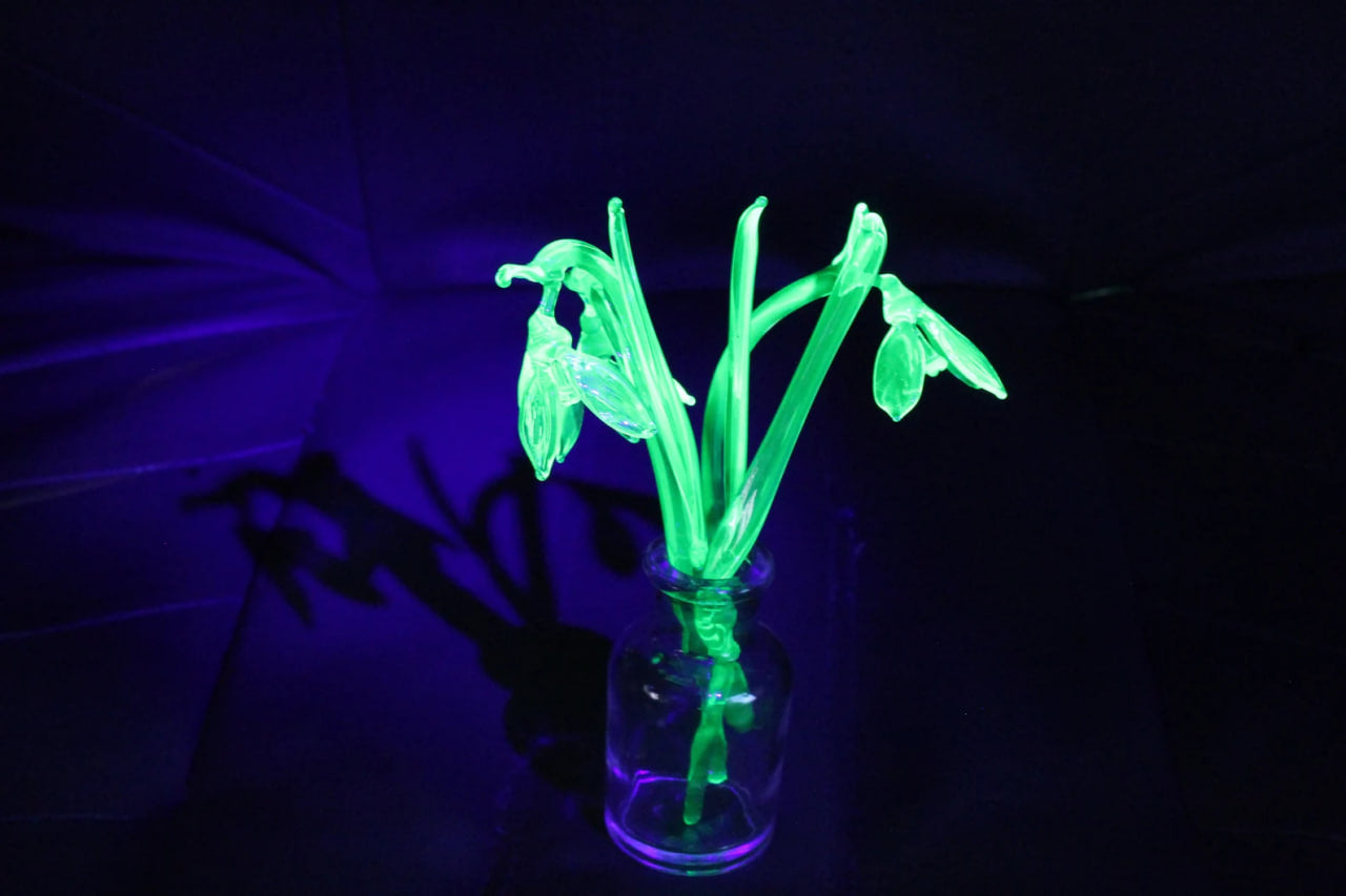 Uranium Glass Snowdrops Sculpture – Glowing Lampwork Flowers – Handmade Glass Bouquet