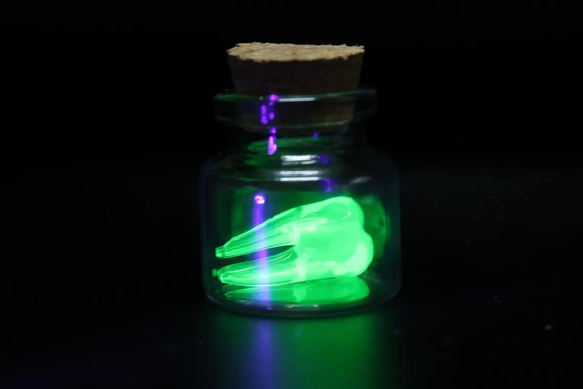 Mini Uranium Glass Tooth in Bottle, Tooth Fairy Keepsake, UV Reactive Tiny Tooth