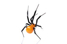 Load image into Gallery viewer, GLASS SPIDER lampwork
