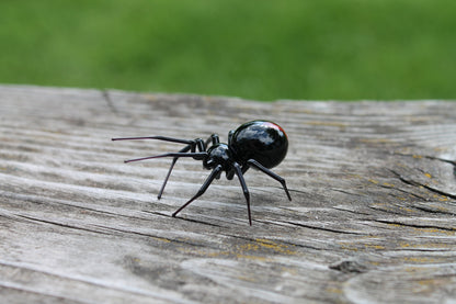 Mini Glass black Widow Figurine