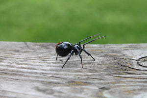 Mini Glass black Widow Figurine