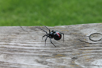 Mini Glass black Widow Figurine