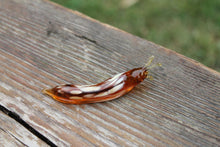 Load image into Gallery viewer, Spotted Slug glass sculpture
