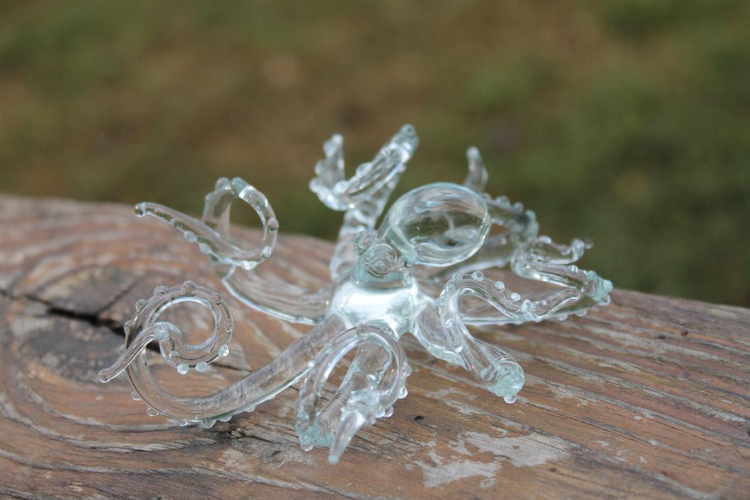 Transparent Blown Glass Octopus, Ocean, Octopus Sculpture