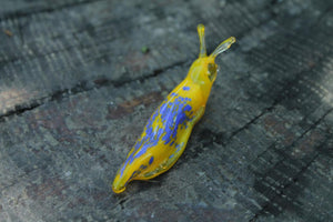 Garden Slug glass sculpture