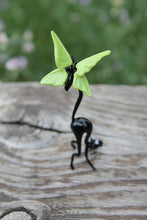 Load image into Gallery viewer, Hand Blown Glass Lampwork Collectible Black Cat With Butterfly Figurine
