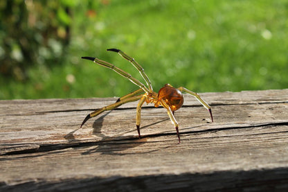 Amber Transparent Glass Spider Figurine With Black Tips