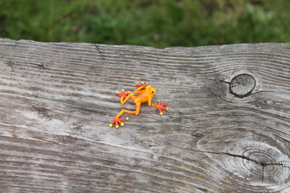 Handmade Orange Glass Frog Figurine With Yellow Feet - Murano Art