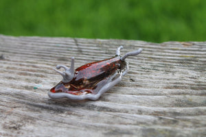 Sea Slug glass sculpture - slug figure - Sea Slug - Nudibranch