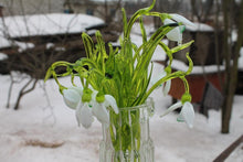 Load image into Gallery viewer, Glass Flower Snowdrop Glass handblown
