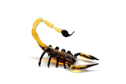 Amber Murano Glass Scorpion Sculpture – Handmade Collectible Art