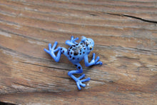 Load image into Gallery viewer, Callidryas tree frog Blown Glass Frog Sculpture poison dart frog  lampwork boro toy Glass Frog Miniature Agalychnis callidryas
