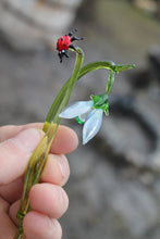 Load image into Gallery viewer, Glass Flower Snowdrop and  ladybug Glass handblown  mother&#39;s day gift
