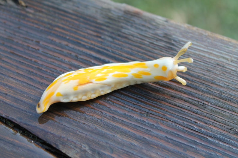 White And Yellow Glass Slug Sculpture – Handmade Murano Animal