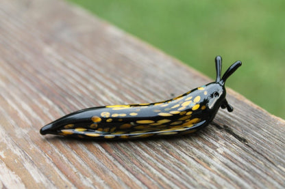 Spotted Slug glass sculpture