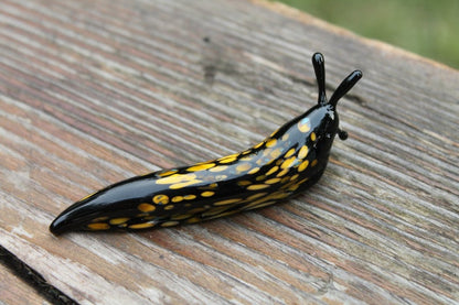 Spotted Slug glass sculpture