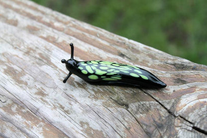 Black And Green Glass Slug Figurine – Bright Miniature Artwork