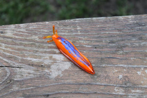 Slug glass sculpture