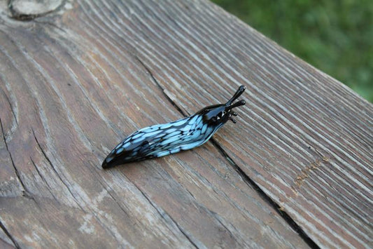 Blue Black Patterned Glass Slug Figurine - 2 Inch Lampwork Art