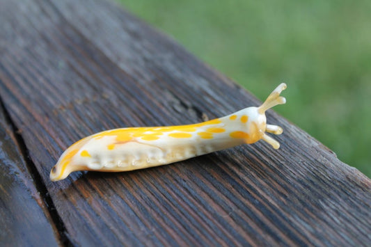 Spotted Slug glass sculptur