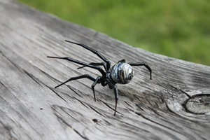 Spider Animals Glass, Art Glass, Blown Glass, Sculpture Made Of Glass, Black widow spider