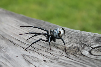 Spider Animals Glass, Art Glass, Blown Glass, Sculpture Made Of Glass, Black widow spider
