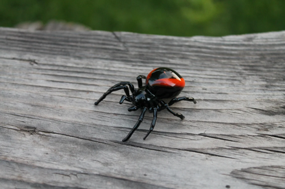 Spider Animals Glass, Art Glass, Blown Glass, Sculpture Made Of Glass, Black widow spider