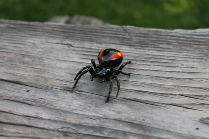 Spider Animals Glass, Art Glass, Blown Glass, Sculpture Made Of Glass, Black widow spider