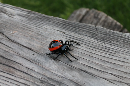 Spider Animals Glass, Art Glass, Blown Glass, Sculpture Made Of Glass, Black widow spider