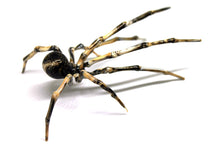 Load image into Gallery viewer, Spider Animals Glass, Art Glass, Blown Glass, Sculpture Made Of Glass, Black widow spider
