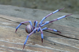 Spider Animals Glass, Art Glass, Blown Glass, Sculpture Made Of Glass