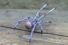 Load image into Gallery viewer, Spider Animals Glass, Art Glass, Blown Glass, Sculpture Made Of Glass
