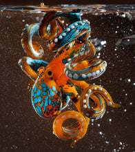 Load image into Gallery viewer, Blue Orange Blown Glass Octopus glass figurine Octopus Glass Ocean Octopus  Kraken Glass Octopus Figurine
