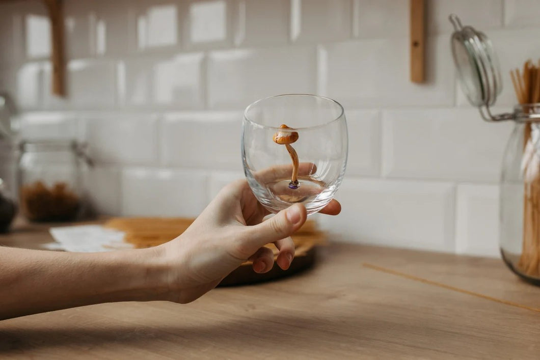 Glass Mushroom Aesthetic Drink Glass Gift Idea Handcrafted Figurines Mushroom